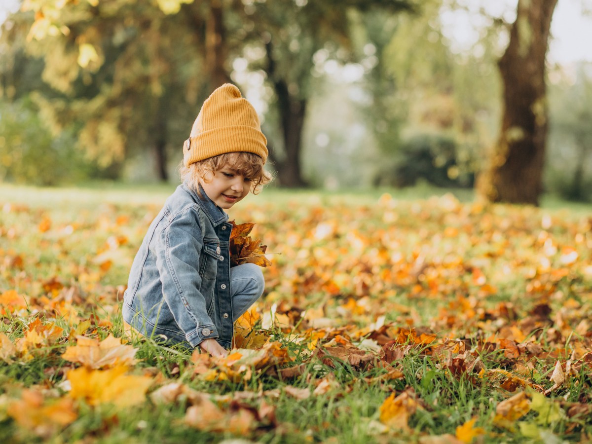 The “Why” Phase: A Toddler’s Curious&nbsp;Adventure