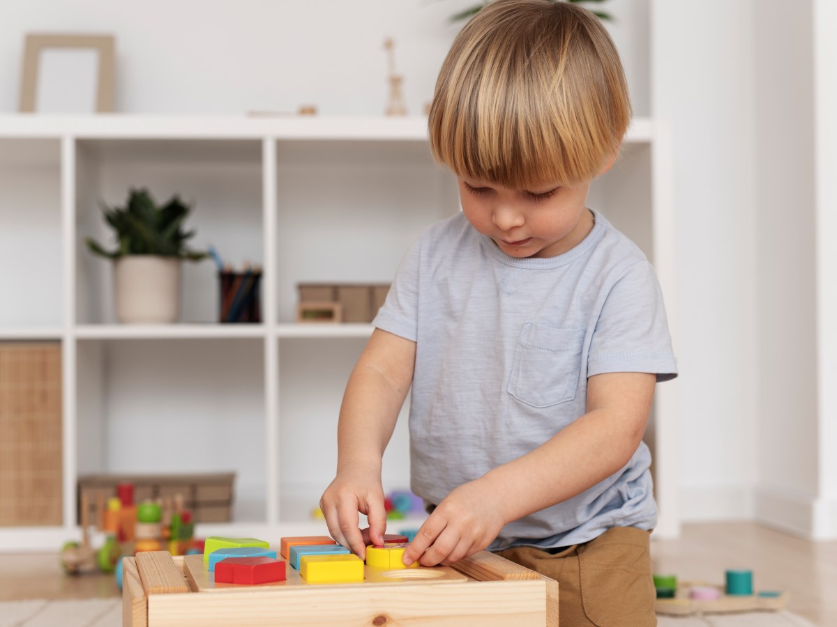 Montessori Toy Shelf 101: Promoting Independence and Development in&nbsp;Children